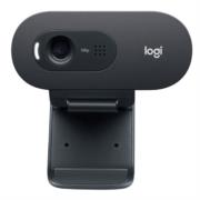 Cámara Web Logitech C505 HD 720p USB Micrófono Color Negro