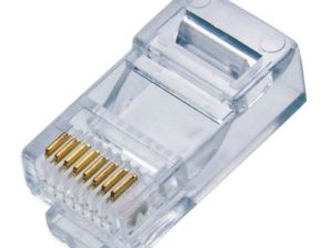 Conector Red RJ45
