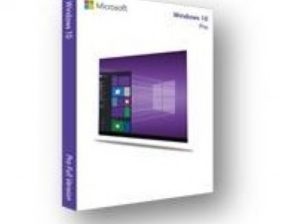 Windows Profesional 10
