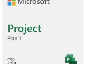 Project Plan 1