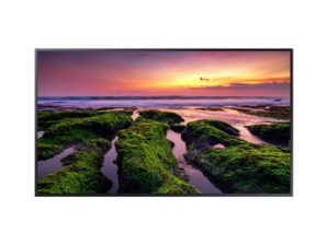 Monitor Profesional