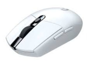 Mouse