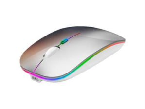 Mouse