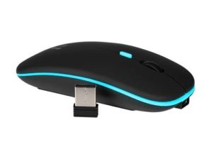 Mouse