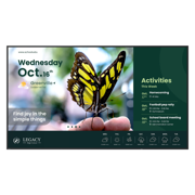 Pantalla BenQ ST6504 65 4K UHD 3840x2160 Panel ADS 60 Hz 99% sRGB
