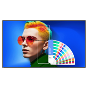 Pantalla BenQ SL7504 75 Pul UHD 4K 24/7